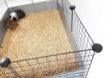  C&C Modular cage 4x2 145 x 75 cm black