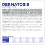 VetExpert Veterinary Diet Dermatosis Dog Salmon & Potato - dry dog food - 2 kg