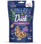 Syta Micha Freezy Duck with plum - dog treat - 40g