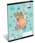 LIZZY Füzet, tűzött, A5, vonalas, 32 lap, 1. osztály, LIZZYSULI, "Lollipop Capybara", "14-32 (TICLFVA5LC1) - tintasziget