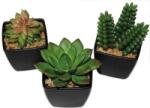  Színes kövirózsa művirág fekete kaspóban, 6-9 cm, (50433)