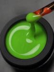 Everin Gel Autonivelant Everin Candy Ombre 15gr- 16 - Gel Verde Neon Lime (CO-16)