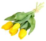  Sárga színű selyemvirág tulipán csokor 5 szálas 30cm (DD67070)