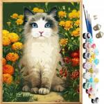 CE Festmény számok szerint 40x50 macska kert kép Diy (X001UP6FSD)
