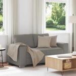 vidaXL Canapea extensibila gri deschis 160x77x82 cm, material catifea reiata GartenMobel Dekor (4105193) Canapea