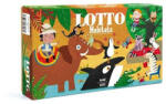 Londji Joc de asociere Londji, Loto habitat (LJ_FG003U) - kidstory