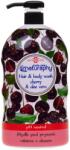 Naturaphy Gel de duș și șampon 2în1 cireșe cu extract de aloe vera Naturaphy 1000ml 30037 (5908311416648)