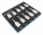 SATRA Inserție de spumă - Torx T10-T55 10 piese 18318 (S-H138NT)