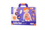 mierEdu Joc magnetic educativ - Anatomia Umana (ME0511)
