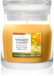 Yankee Candle Starfruit & Sunshine lumânare parfumată Signature 110 g