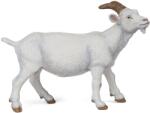 Papo Figurina Papo Farmyard Friends - Capra alba (51144) Figurina