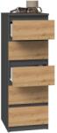 Topeshop W5 ANT/ART KPL chest of drawers Comoda