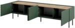  4D RTV cabinet ONDA 200x40xH54.35 green (standing or wall mounted)