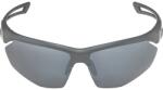 Alpina Nylos HR Sunglasses cat. 3 Grey