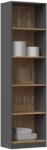 Topeshop R50 ANT/ART office bookcase Raft