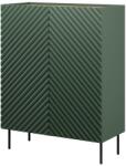  Bookcase 2D2SZ ONDA 98x45xH127 green) Raft