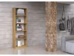 Topeshop R40 ARTISAN office bookcase Raft