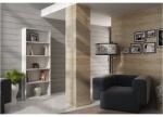 Topeshop R60 BIEL office bookcase Raft