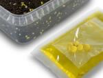 DELPHIN Reaxe READY& GO Pellet box + Booster + Wafters Kukorica-Ananász