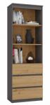 Topeshop RS-60 ANT/ART KPL office bookcase Raft