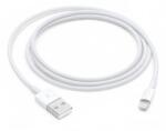 Apple Lightning to USB Cable (1В m)