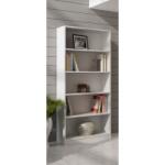 Topeshop R80 BIEL office bookcase Raft