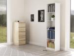 Topeshop R50 BIEL office bookcase Raft