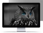  Natec Privatizing Filter Owl 27" 16: 9