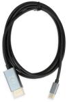 iBOX ITVCDP4K video cable adapter 1.8 m USB Type-C DisplayPort Black