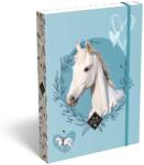 ICO ICO: Lizzysuli Wild Beauty Sport Club mintás füzetbox A/5 (7470217004-580003)