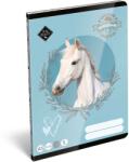 ICO ICO: Lizzysuli Wild Beauty Sport Club 2. osztályos vonalas füzet (7500168004-583097)