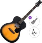 Pasadena PG-100 Standard SET Сунбурст Джъмбо китара