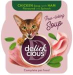Delickcious Supa pentru pisici Delickcious cu pui, sunca spanac 80 gr