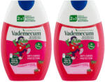 Vademecum Junior 2in1 eper ízű fogkrém 6+ (2x75 ml)