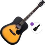Pasadena PD-100 Basic SET Sunburst Chitară acustică