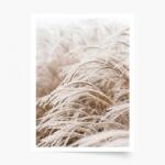 Empikfoto. ro Poster, Boho 1, 21x30 - 111623