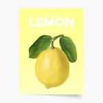 Empikfoto. ro Poster, Fruits - Lemon, 21x30 - 110985