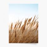 Empikfoto. ro Poster, Boho 3, 21x30 - 111625