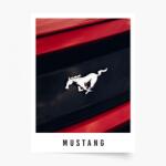 Empikfoto. ro Poster, Mașini: Mustang, 21x30 - 111865