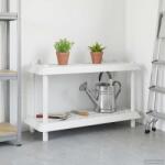 vidaXL Unitate de rafturi 2 niveluri 100 x 40 x 55, 5 cm PP Alb GartenMobel Dekor (8011742) Biblioteca