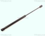 TRISCAN Amortizor capota TRISCAN 8710 16103 (8710 16103) - fixbox
