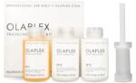 OLAPLEX Professional Traveling Stylist Kit