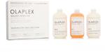 OLAPLEX Bond Multiplier No. 1 Salon Intro Kit Set cadou Bond Multiplier No. 1 525 ml + Bond Perfecto