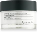 Pyunkang Yul Calming Moisture Repair Balm 30 ml
