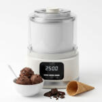 HOME ROBOT ICEGO-100