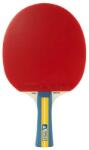 JOOLA Team Master (JA52001)