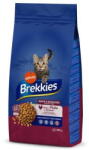 Affinity Hrana Pentru Pisici BREKKIES Urinary Care 20KG (298611)