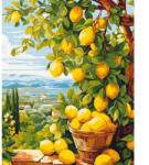 Origami Pictura pe numere 40x50 cm LW3490 (LW3490) Carte de colorat