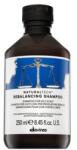 Davines Natural Tech Rebalancing Shampoo Шампоан 250 ml