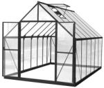 CoverTech Поликарбонатна градинска оранжерия Aurora 2, 4 x 3, 6 м CoverTech черна (CT125)